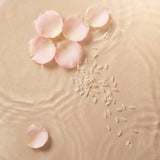 Fermented Rice & Rosewater Glow Cleanser