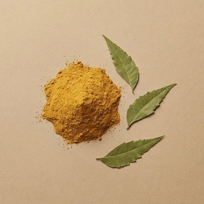 Turmeric & Neem Brightening Bar